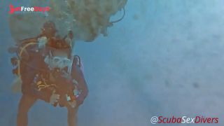 [GetFreeDays.com] SCUBA Sex After Her Sexy Red Bikini Bottom Came Off Underwater - Pure Sex Edit Porn Film February 2023-2