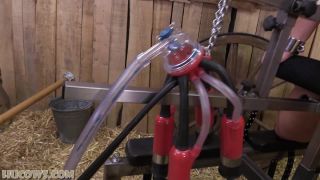 Lisa - back to the barn [HuCows / FullHD / 1080p], bdsm bondage sex hardcore on bdsm porn -0