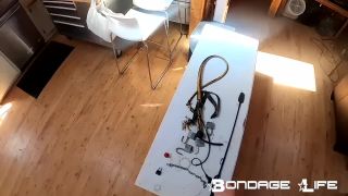 online xxx clip 27 BondageLife – The Ponygirl Rachel Greyhound on fetish porn femdom strapon pegging-2