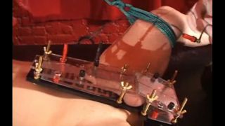 Mitsu's Cock Shock Box!.-1