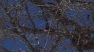 7151 DP Judith Fox - Superfuckers 6-4