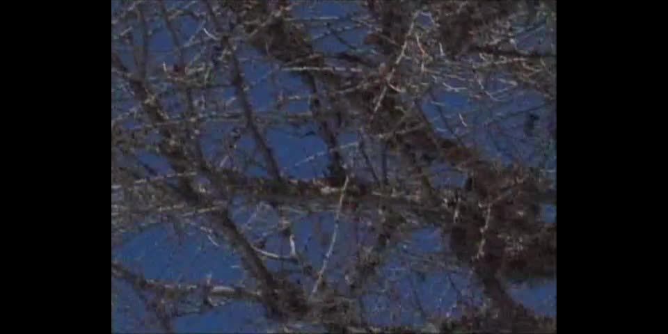 7151 DP Judith Fox - Superfuckers 6