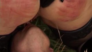 adult xxx clip 40 casey calvert femdom femdom porn | Anus Porcus | bondage-5