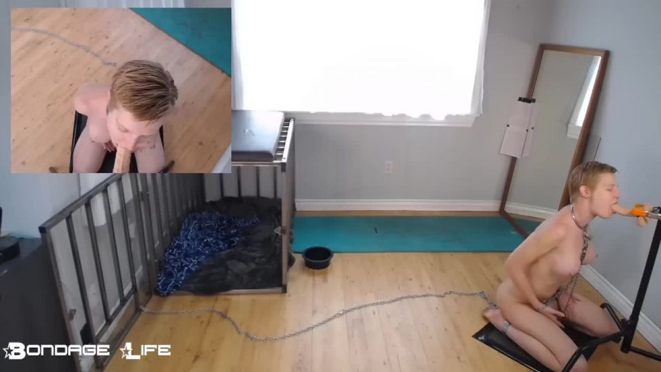 online xxx video 33 monster girl femdom BondageLife – Morning Ritual (Dual Cam Edition) – Rachel Greyhound, bondagelife on fetish porn