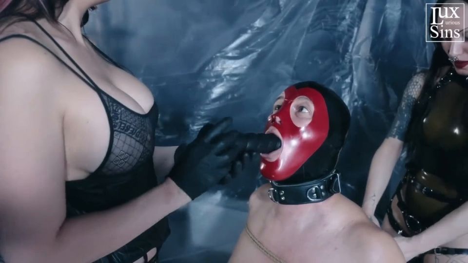 online porn clip 11 femdom mmf LUXurious Sins - Sadistic Shibari Strapon Pegging with Domina Moir Div and Mistress Maya Poison - HD 720p, femdom on fetish porn