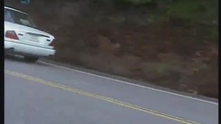 7115 candida royalle eyes of desire part 1-6