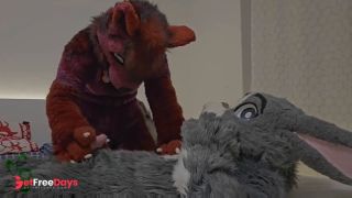 [GetFreeDays.com] this cute gray bunny fucks horny female wolf Murrsuit Porn Porn Video July 2023-0