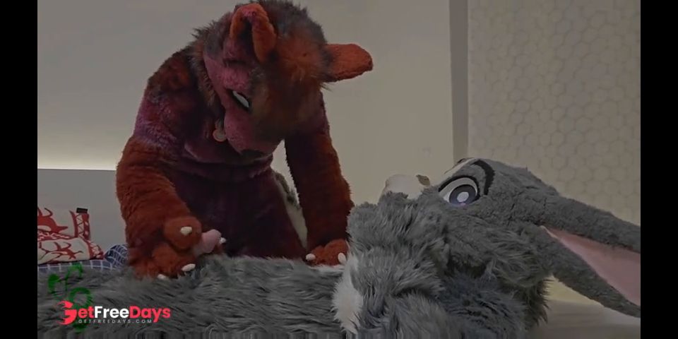 [GetFreeDays.com] this cute gray bunny fucks horny female wolf Murrsuit Porn Porn Video July 2023