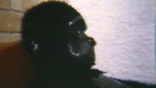 7104 alucinacoes sexuais de um macaco-9