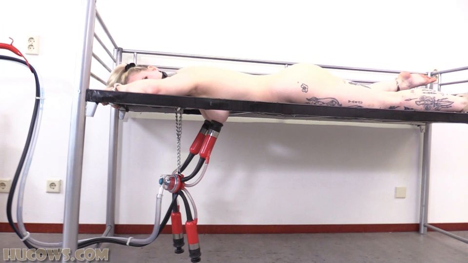 Elizabeth - more cow milker - Nov, 2024 Quick View Porn -...