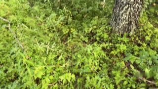 Luckylucy18 Amateur German Sex in Forest FullHD 1080P MDH-1