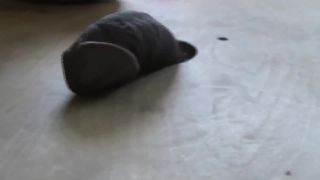 adult xxx video 18 MISTRESS CRUSH – WALKOVER EXERCISE IN HER NEW WEDGES – EBONY COCK CRUSHING UNDER HEELS - femdom - femdom porn casey calvert femdom-1