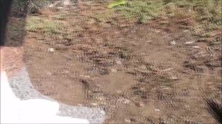 Custom Fetish - Rory Dirties New White Ankle Socks - Fetish-5