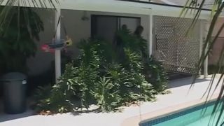 Video online My Thick Black Ass #20, Scene 4-1