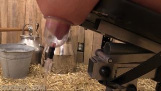 free online video 39 HuCows – Cindy Dollar – teat training, british bdsm on femdom porn -7