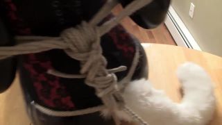 adult xxx video 1 bbw bdsm sex bdsm porn | Sarah - The Captured Fox | humilation-5