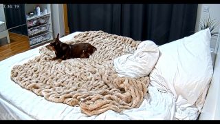 RealLifeCam Leora's Hot Solo Porn Orgasm 2025 HD-9