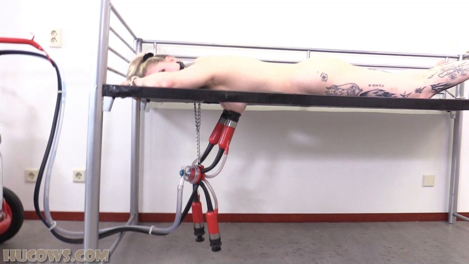 online adult clip 42 Hucows – Elizabeth More – Cow Milker on fetish porn nicki minaj femdom