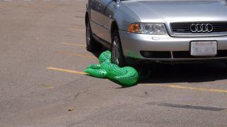 Custom Fetish - Madison Crushes Inflatables With Car HD - Fetish-2