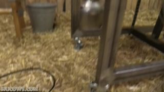 online clip 13 HuCows – Nora Sparkle – new HuCow orgasms, drunk fetish on fetish porn -7