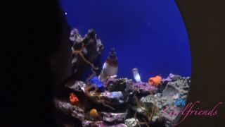 [ATKGirlfriends] Summer Renee Norcal 5 [12.12.25] [1080p]-3