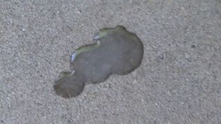 [K2S.CLUB] MILF-Royal - Creampie SUCHT - Es musste mal wieder sein - FullHD 1080P-9