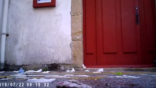 Hidden-Zone presents Voyeur – hz_26354 Voyeur-3