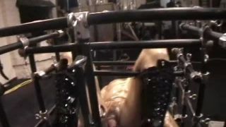 online porn clip 36 femdom sissy humiliation Electic CBT Suspended Cage Part 1 - Into the Cage and Wires, domination on bdsm porn-6