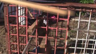 BrendasBoundjennah-thecage-3000-4