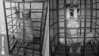 free adult video 49 asian bdsm squirt bdsm porn | Bondage Life – More Storage Time For Greyhound | fetish-1
