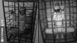 free adult video 49 asian bdsm squirt bdsm porn | Bondage Life – More Storage Time For Greyhound | fetish-5