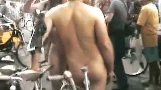 Coccozella-SiteRIP 0399-LG-wnbr2010-5-6