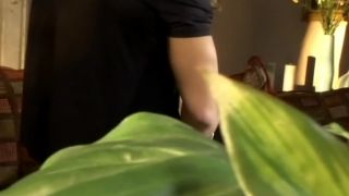 Latin Spice, Scene 2-0