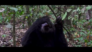 Video Luna Okko  Pornhub E28  SUNNY SEX IN AFRICA  LUNAS JOURNEY 10...-5