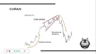Verified Amateurs Estructuras  CHARTISMO -6