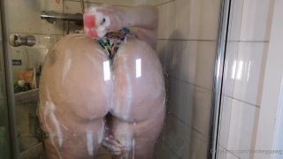 donkeypawg dp00086-1