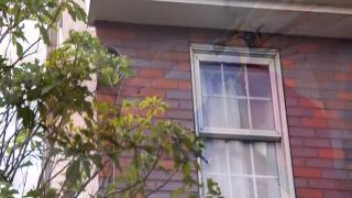 [WarAnLov.com] SPSE-49 Mighty Knight Artemis 5 ~A Contrived Sexless Relationship~-020-5