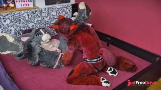 [GetFreeDays.com] locked murrsuit bunny is getting humiliated and wrecked by a dominant furry female wolf Murrsuit Adult Stream March 2023-3