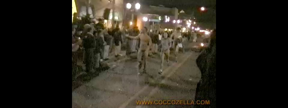 Coccozella-SiteRIP 0212-HH-Naked-Mile-1997