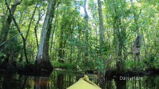 xxx video 31 keds fetish Daisy Haze – Great Bush Adventure, public flashing on femdom porn-8