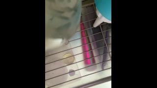 Lily Labeau Lily LaBeau - Get That Cock Wet Cuckold-7