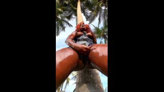 queen tahshaar qt152-7