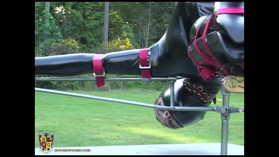 House of Gord20 10 02 (04 09 24) Sasha Monet - Display Stand