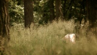 Ewa Skibinska- Matka Teresa od kotow (2010) HD 720p - [Celebrity porn]-1