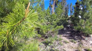 Outdoor Bliss: Intimate Camping Sex Vlog Adventure-3