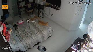 Voyeur 1526 Peru Lima CgN3BiEFM-9