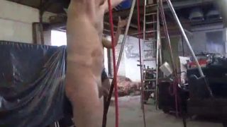 Femdom Porn Kelly Kalashnik – Hell Of A Thrashing-6