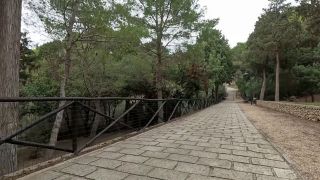 Public Rita Porcu (ritawild) - Walking in my slutty fishnet pantyhose-6