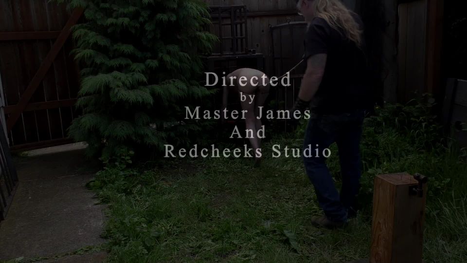 online porn video 31 SensualPain – April 1, 2020 – Redneck Sheila Spankers | Abigail Dupree | Master James, katie st ives femdom on fetish porn 