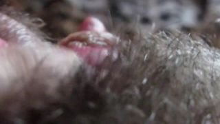 cuteblonde666 Big clit hiding in the hairy bush - Hairy-4